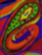 A paisley.